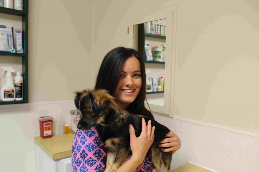 Staff holding a puppy