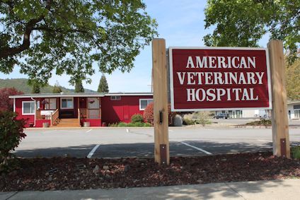 American Veterinary Hospital Sign